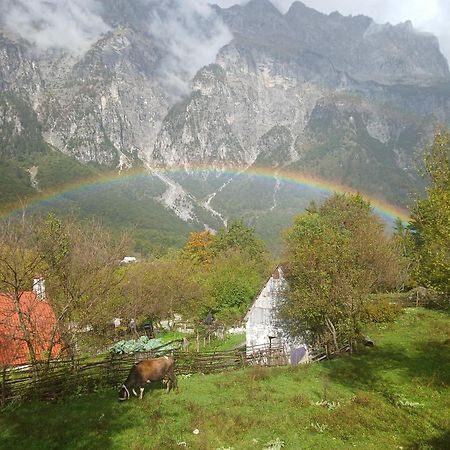 Bujtina Milani Acomodação com café da manhã Shkodër Exterior foto