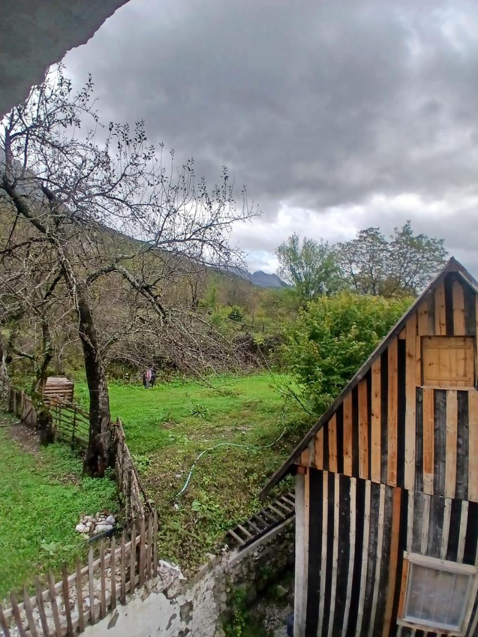 Bujtina Milani Acomodação com café da manhã Shkodër Exterior foto