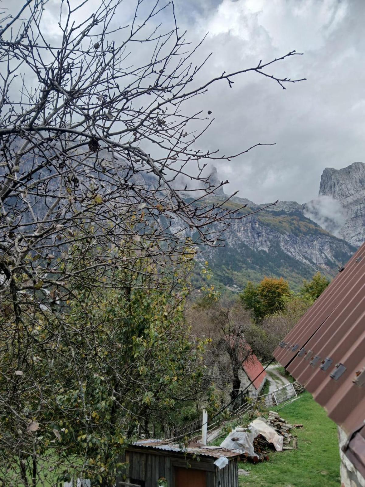 Bujtina Milani Acomodação com café da manhã Shkodër Exterior foto