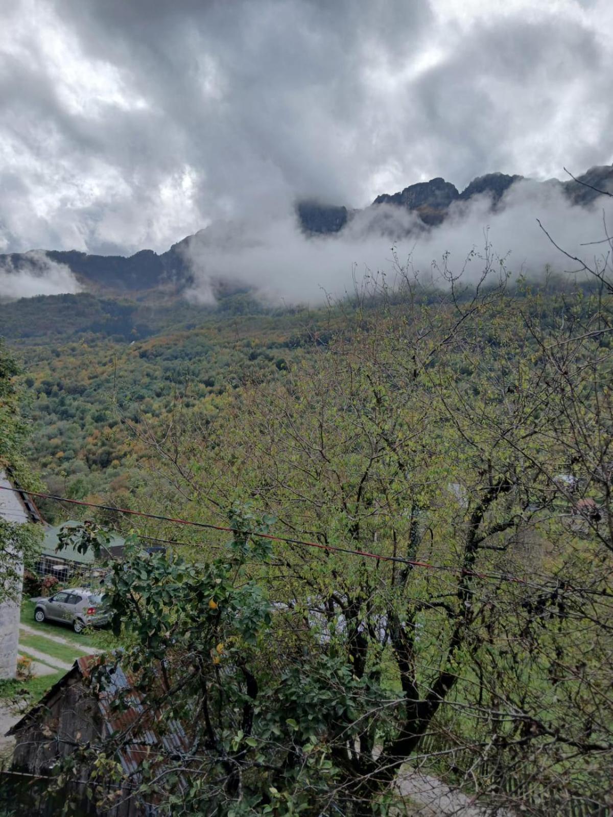 Bujtina Milani Acomodação com café da manhã Shkodër Exterior foto
