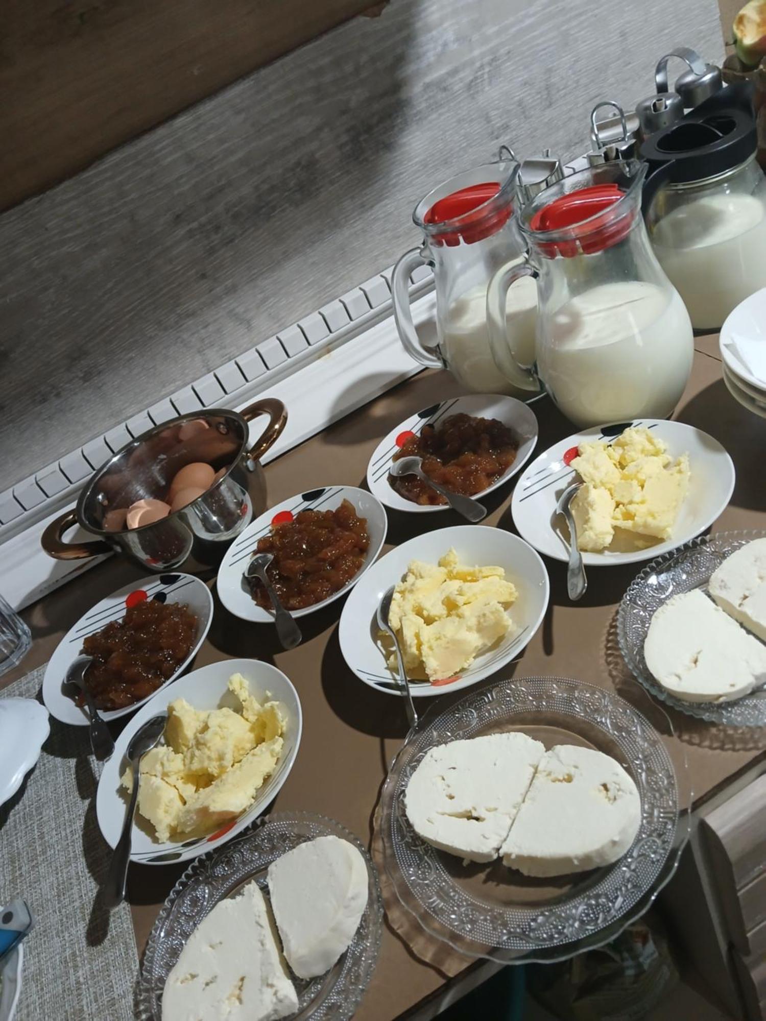 Bujtina Milani Acomodação com café da manhã Shkodër Exterior foto